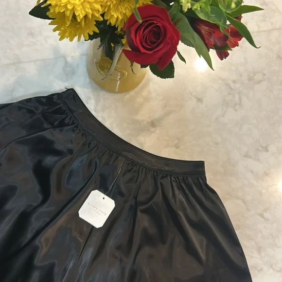 NWT Roxie Tulle Skirt - Picture 5 of 6